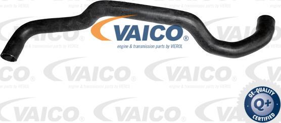 VAICO V10-7563 - Flessibile radiatore autozon.pro