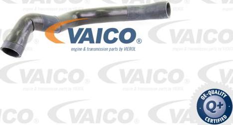 VAICO V30-0145 - Flessibile radiatore autozon.pro