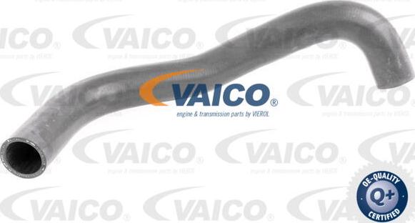 VAICO V30-0251 - Flessibile radiatore autozon.pro