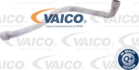 VAICO V30-1579 - Flessibile radiatore autozon.pro