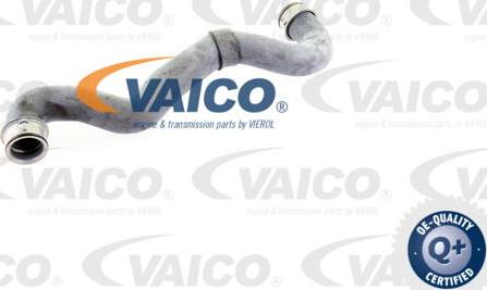 VAICO V30-1657 - Flessibile radiatore autozon.pro