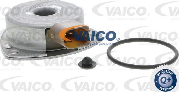 VAICO V30-1136 - Magnete centrale, Regolazione albero a camme autozon.pro