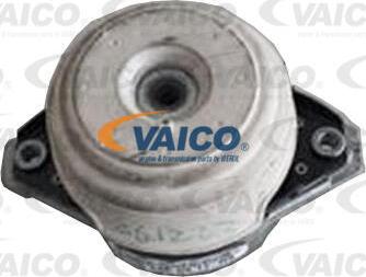 VAICO V30-3581 - Sospensione, Motore autozon.pro