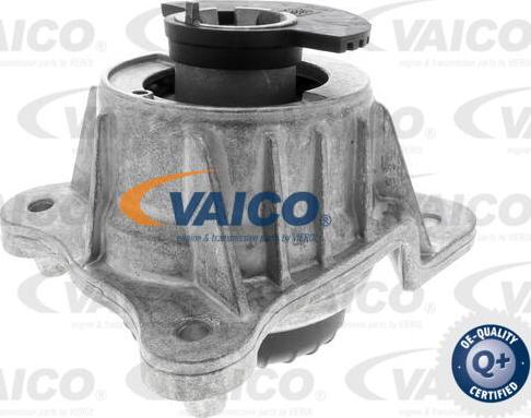 VAICO V30-3090 - Sospensione, Motore autozon.pro