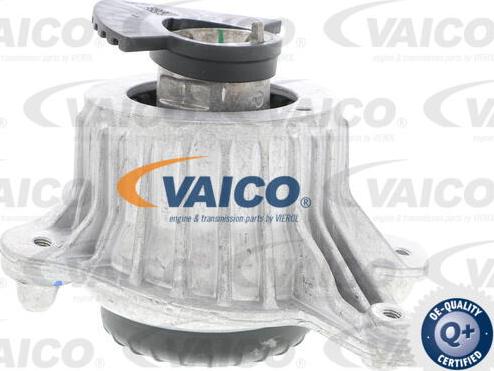 VAICO V30-3098 - Sospensione, Motore autozon.pro