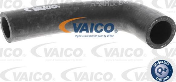 VAICO V30-3140 - Flessibile radiatore autozon.pro