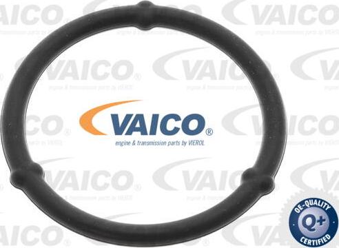 VAICO V30-3333 - Kit riparazione, Coppa olio autozon.pro