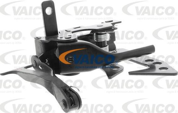 VAICO V30-2956 - Serrat. cofano motore autozon.pro