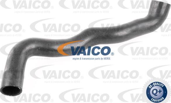 VAICO V30-2913 - Flessibile radiatore autozon.pro