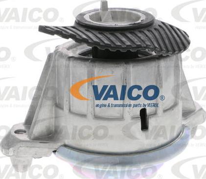 VAICO V30-2199 - Sospensione, Motore autozon.pro