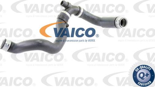 VAICO V30-2233 - Flessibile radiatore autozon.pro