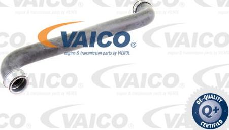 VAICO V30-2226 - Flessibile radiatore autozon.pro