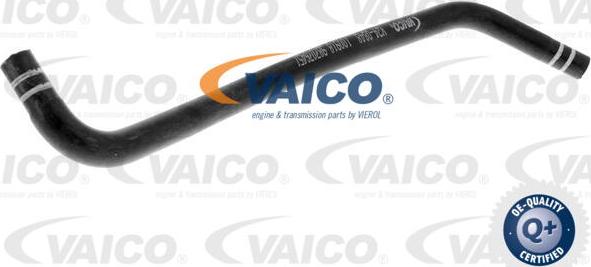 VAICO V24-0848 - Flessibile radiatore autozon.pro