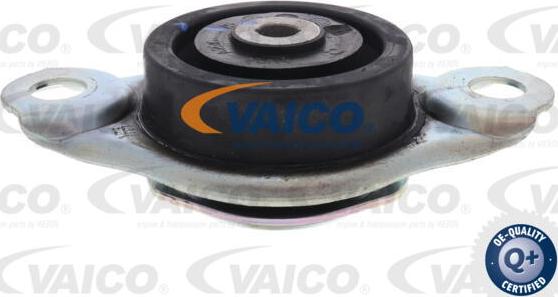 VAICO V24-0856 - Sospensione, Motore autozon.pro