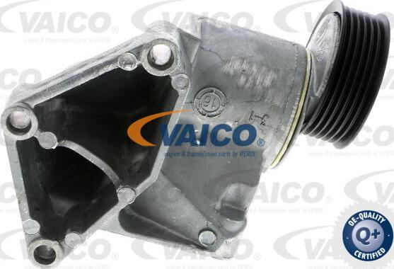 VAICO V25-9696 - Tendicinghia, Cinghia Poly-V autozon.pro