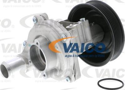 VAICO V25-50022 - Pompa acqua autozon.pro