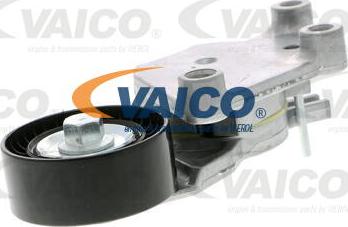 VAICO V25-0341 - Galoppino / Guidacinghia, Cinghia Poly-V autozon.pro