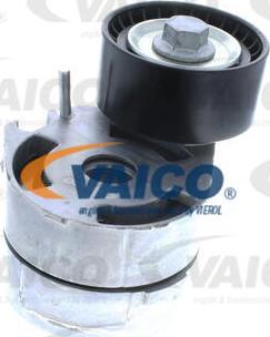 VAICO V25-0343 - Tendicinghia, Cinghia Poly-V autozon.pro