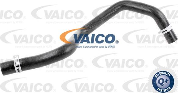 VAICO V25-1201 - Flessibile radiatore autozon.pro