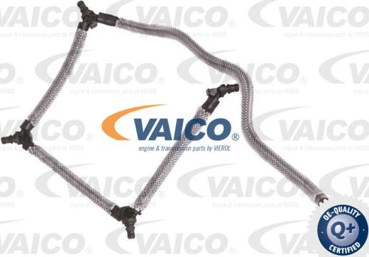 VAICO V25-2559 - Flessibile, Carburante perso autozon.pro