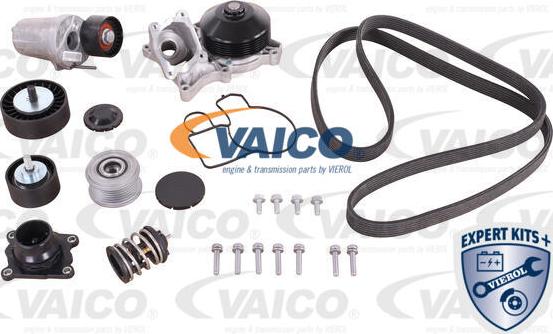 VAICO V20-50100-BEK - Pompa acqua + Kit cinghie dentate autozon.pro