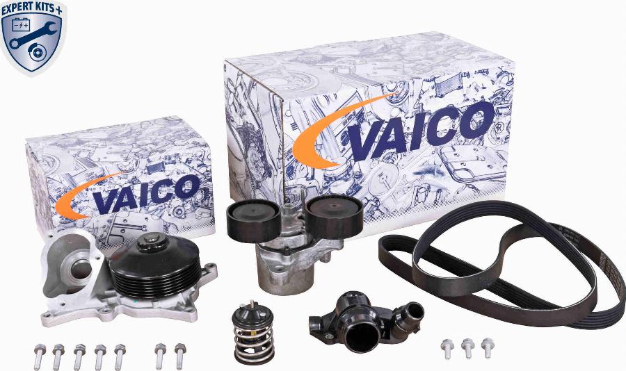 VAICO V20-50103-BEK - Pompa acqua + Kit cinghie dentate autozon.pro