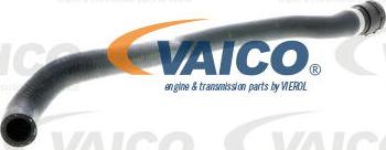 VAICO V20-0904 - Flessibile radiatore autozon.pro