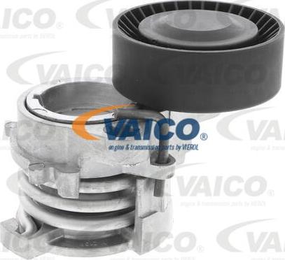 VAICO V20-0919 - Tendicinghia, Cinghia Poly-V autozon.pro