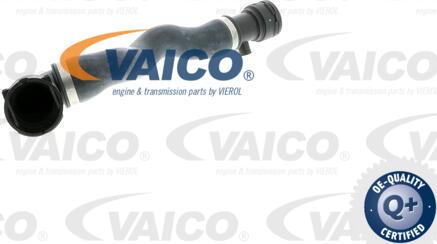 VAICO V20-0863 - Flessibile radiatore autozon.pro