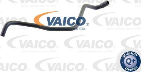 VAICO V20-1247 - Flessibile radiatore autozon.pro