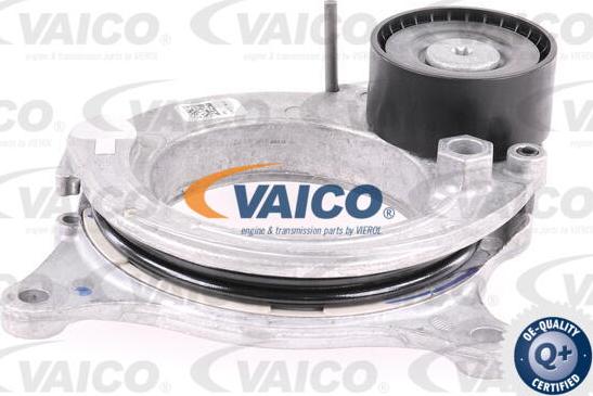 VAICO V20-8260 - Tendicinghia, Cinghia Poly-V autozon.pro