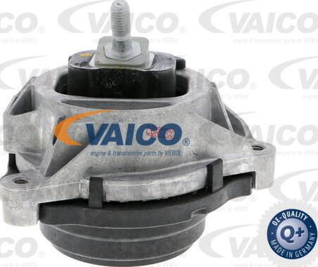 VAICO V20-3231 - Sospensione, Motore autozon.pro