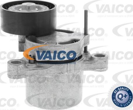 VAICO V20-2625 - Tendicinghia, Cinghia Poly-V autozon.pro