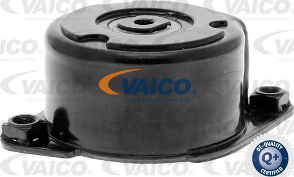 VAICO V20-2626 - Tendicinghia, Cinghia Poly-V autozon.pro