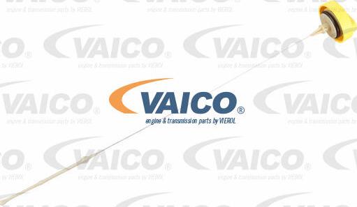 VAICO V21-0057 - Asta controllo livello olio autozon.pro