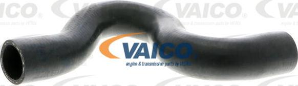 VAICO V22-0513 - Flessibile radiatore autozon.pro