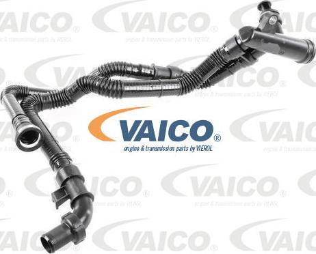 VAICO V22-0398 - Flessibile radiatore autozon.pro