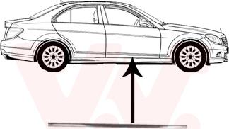 Van Wezel 3091424 - Modanatura decorativa / protettiva, Portiera autozon.pro