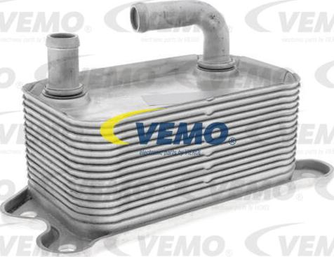 Vemo V95-60-0011 - Radiatore olio, Olio motore autozon.pro