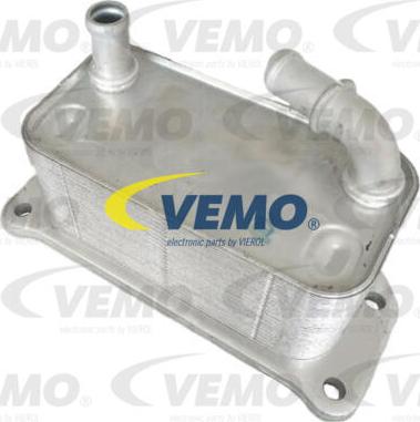 Vemo V95-60-0022 - Radiatore olio, Olio motore autozon.pro