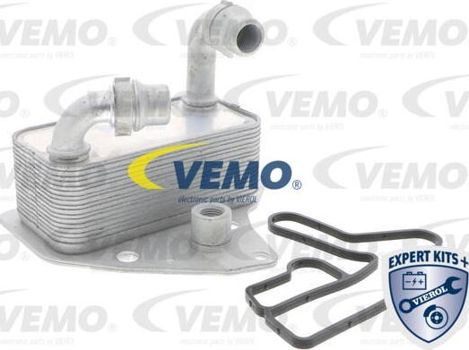 Vemo V40-60-2100 - Radiatore olio, Olio motore autozon.pro