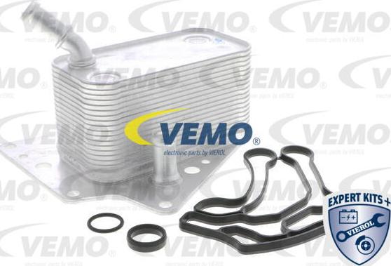 Vemo V40-60-2101 - Radiatore olio, Olio motore autozon.pro