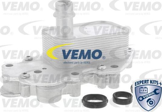 Vemo V40-60-2102 - Radiatore olio, Olio motore autozon.pro