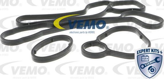 Vemo V40-60-2117 - Radiatore olio, Olio motore autozon.pro