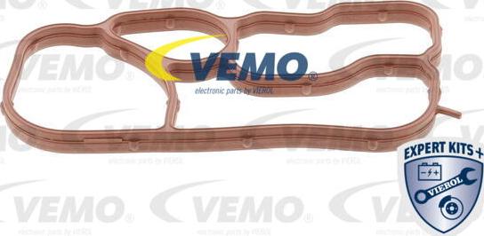 Vemo V15-60-90015 - Guarnizione, Radiatore olio autozon.pro