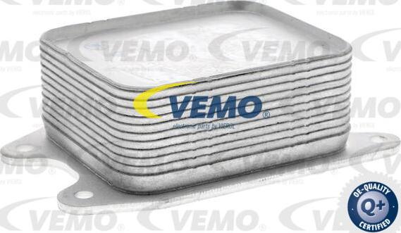 Vemo V15-60-6065 - Radiatore olio, Olio motore autozon.pro