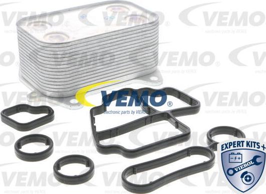 Vemo V15-60-6061 - Radiatore olio, Olio motore autozon.pro