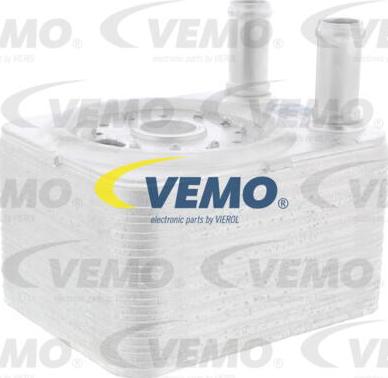 Vemo V15-60-6023 - Radiatore olio, Olio motore autozon.pro