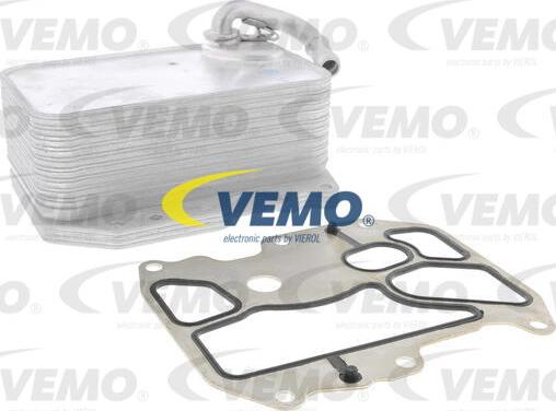 Vemo V15-60-6075 - Radiatore olio, Olio motore autozon.pro