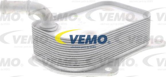 Vemo V15-60-6071 - Radiatore olio, Olio motore autozon.pro